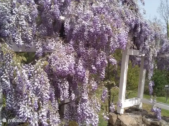 La basse Maza - L'Amande | France, Ardèche, Gluiras - maison de vacances La pergola magnifiquement envahie et fleurie sur la terrasse supérieure offre non seulement une belle vue, mais aussi l'intimité nécessaire.