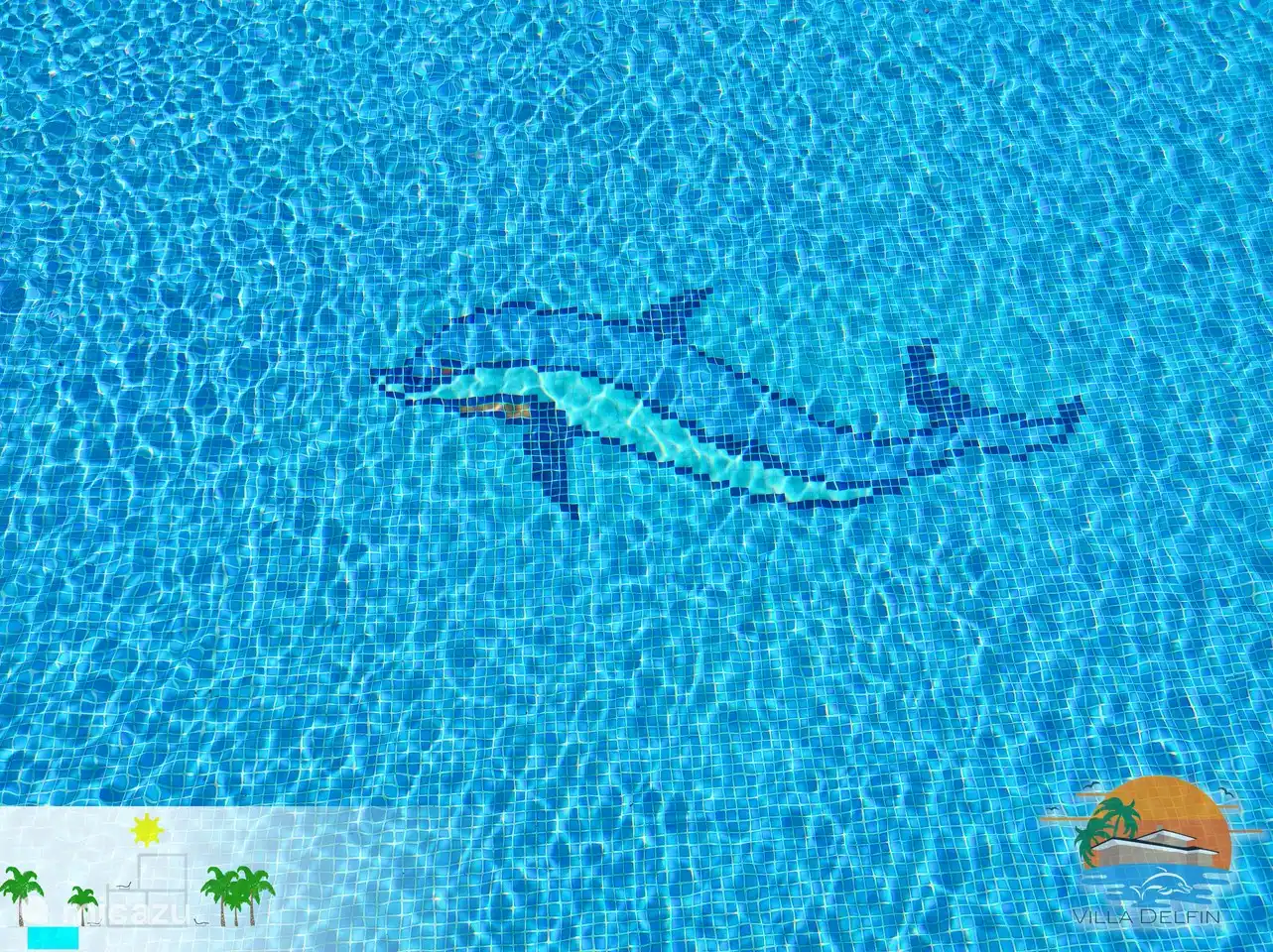 Le dauphin ne devrait pas manquer dans la piscine.