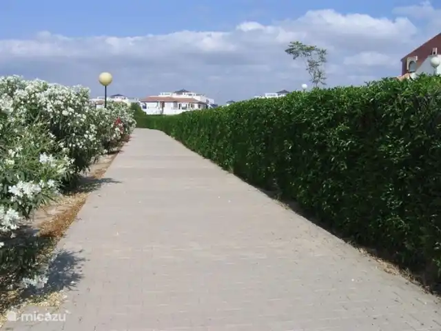 Veramar 6 | Espagne, Costa de Almeria, Vera - villa Sentier menant à la plage