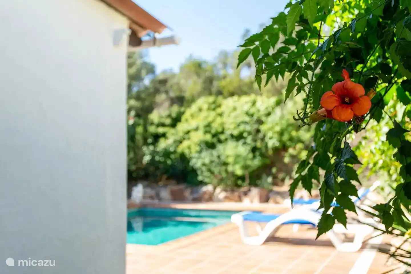 Blick aufs Schwimmbad