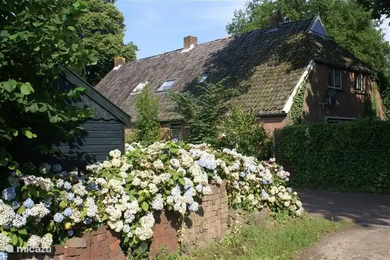 bauernhof, Wittelte, Drenthe, Niederlande - Unter der Eichenfarm (All-in) 