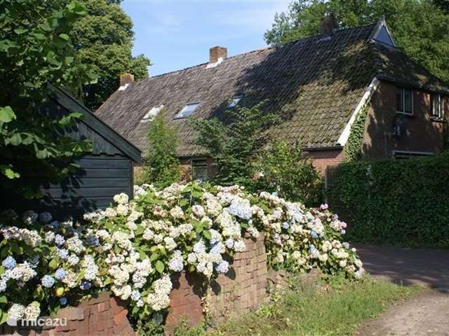 Vakantiehuis Nederland, Drenthe, Dieverbrug - boerderij Onder de Eiken vakantieboerderij