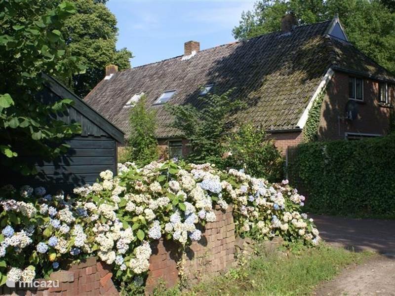 Holiday home in Netherlands, Drenthe, Diever Farmhouse Under the Oaks holiday farm