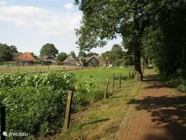 Sous le Chêne ferme de vacances | Pays-Bas, Drenthe, Diever - ferme Piste cyclable à côté de 'Onder de Eiken'