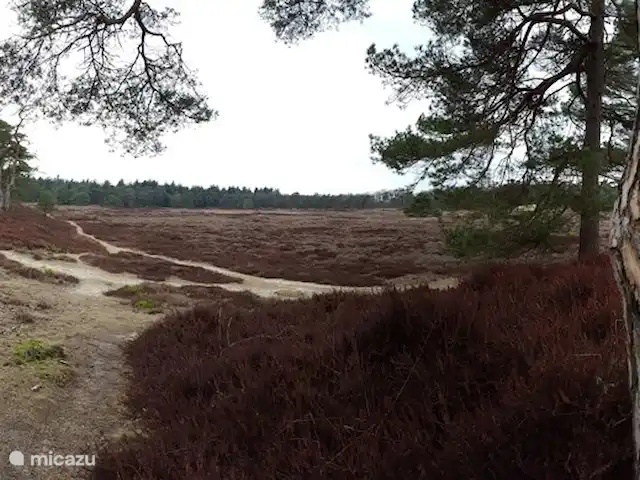 Sous le Chêne ferme de vacances | Pays-Bas, Drenthe, Diever - ferme Diever a été choisi par les consommateurs néerlandais comme l'une des 4 meilleures destinations de vacances aux Pays-Bas !