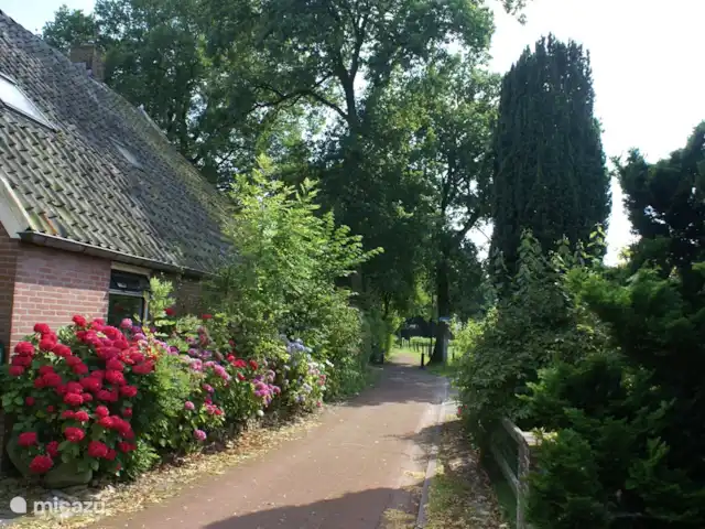Sous le Chêne ferme de vacances | Pays-Bas, Drenthe, Diever - ferme Sous les chênes