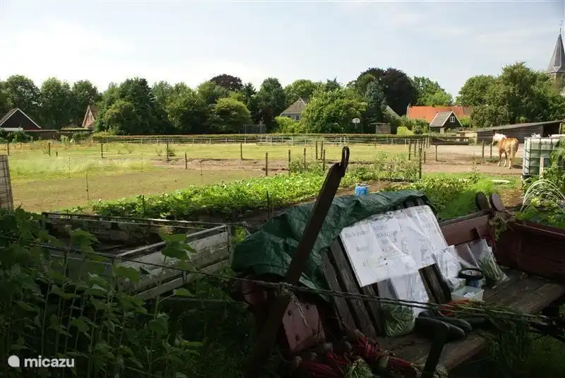 Frisches Gemüse zum Verkauf neben "Under the Oaks '