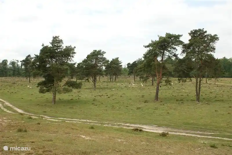 Aekingerzand - mit dem Fahrrad