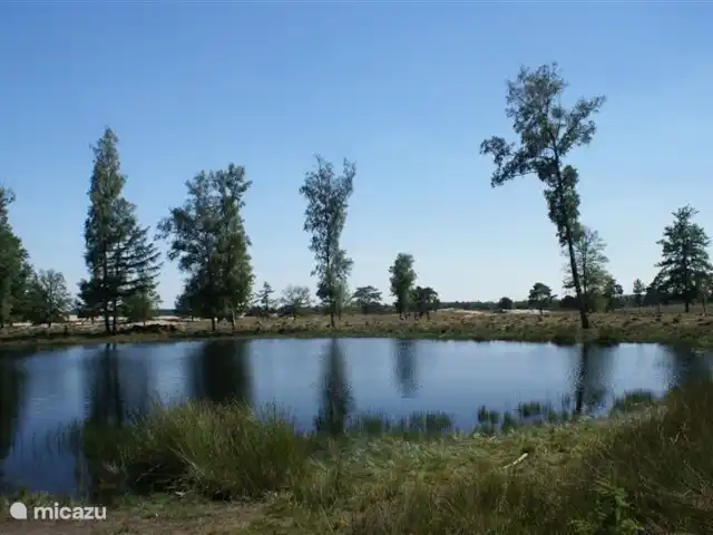 Sous le Chêne ferme de vacances | Pays-Bas, Drenthe, Diever - ferme Forêt, eau, landes - merveilleux pour un pique-nique