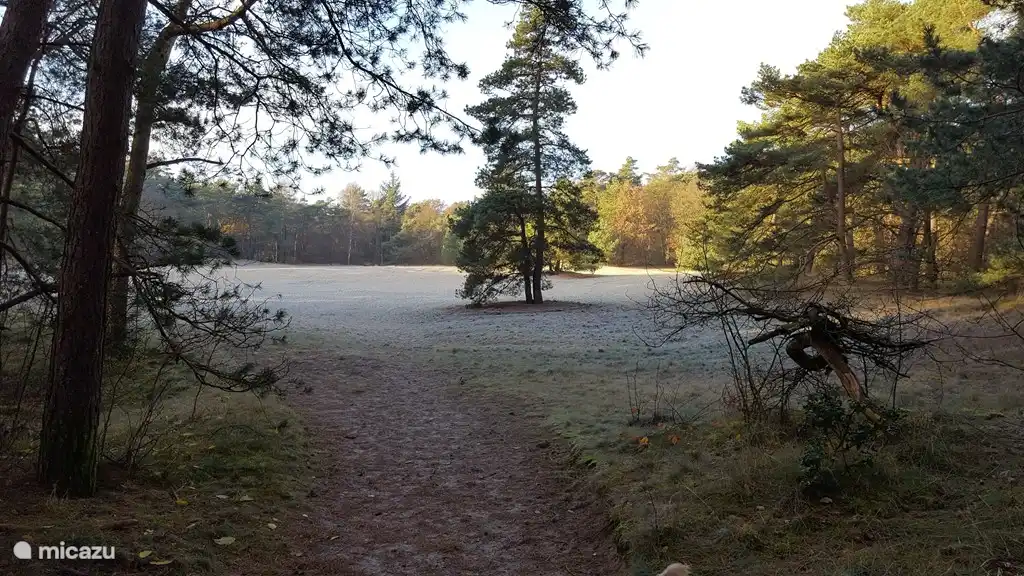 Diever wurde von niederländischen Verbrauchern zu einem der 4 besten Urlaubsziele in den Niederlanden gewählt!