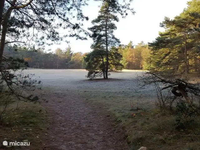 Sous le Chêne ferme de vacances | Pays-Bas, Drenthe, Diever - ferme Le parc national Drents-Friese Wold