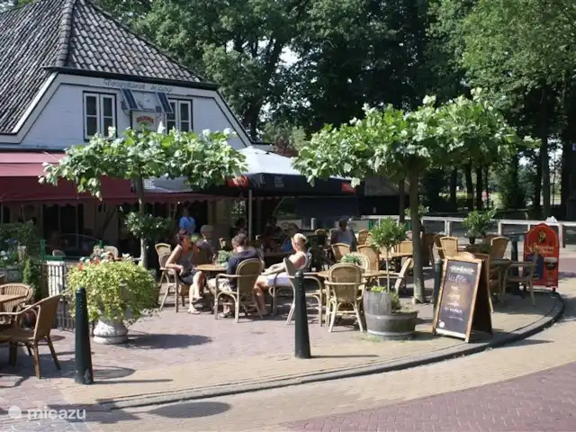 Sous le Chêne ferme de vacances | Pays-Bas, Drenthe, Diever - ferme Des terrasses cosy à Diever