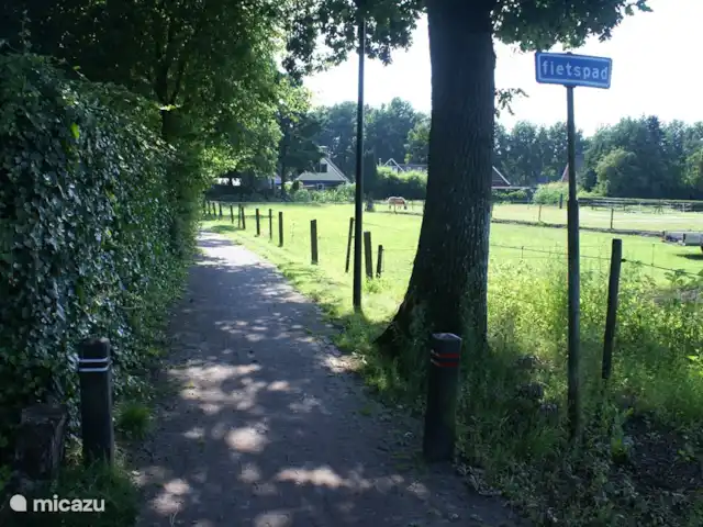 Sous le Chêne ferme de vacances | Pays-Bas, Drenthe, Diever - ferme Vue depuis Sous les chênes
