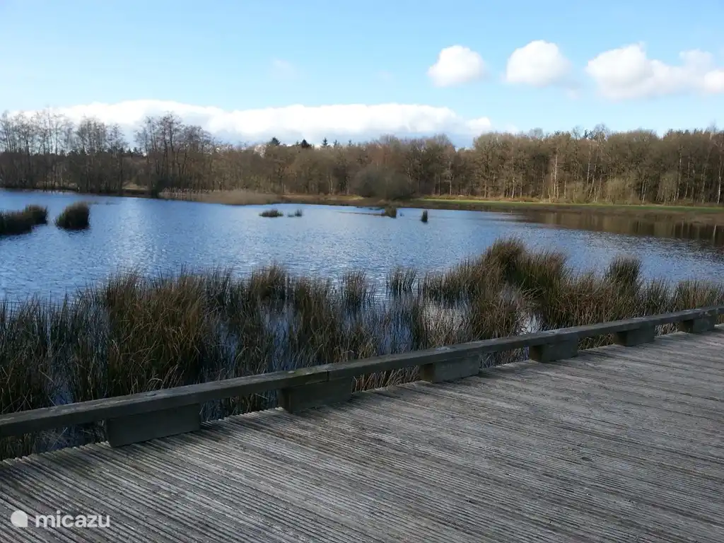 Der Nationalpark Dwingelderveld ist vor allem für seine große, stille Heide bekannt