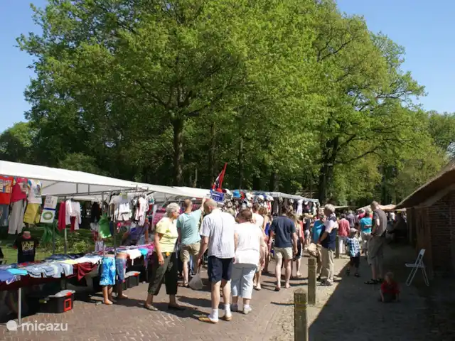 Sous le Chêne ferme de vacances | Pays-Bas, Drenthe, Diever - ferme Marché d'été varié