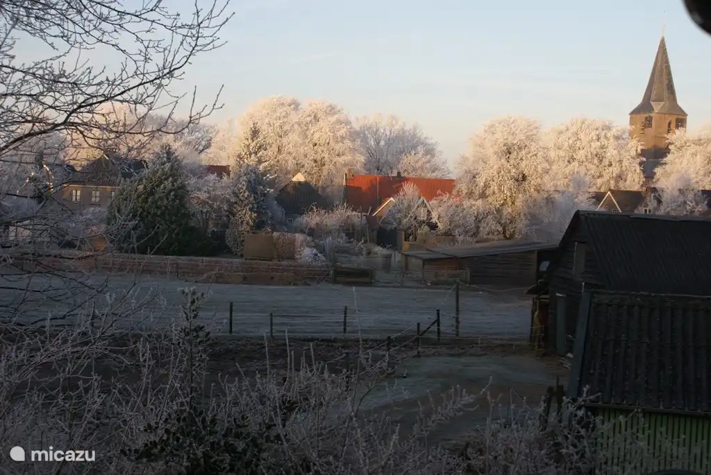 Weide neben Unter den Eichen - Herbst