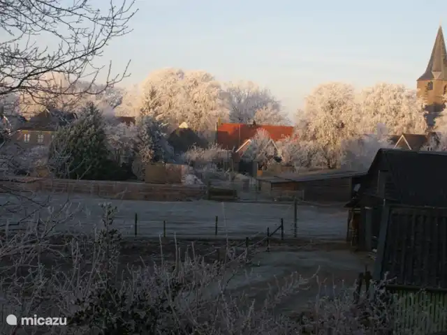 Sous le Chêne ferme de vacances | Pays-Bas, Drenthe, Diever - ferme Pâturage à côté de 'Onder de Eiken' - automne