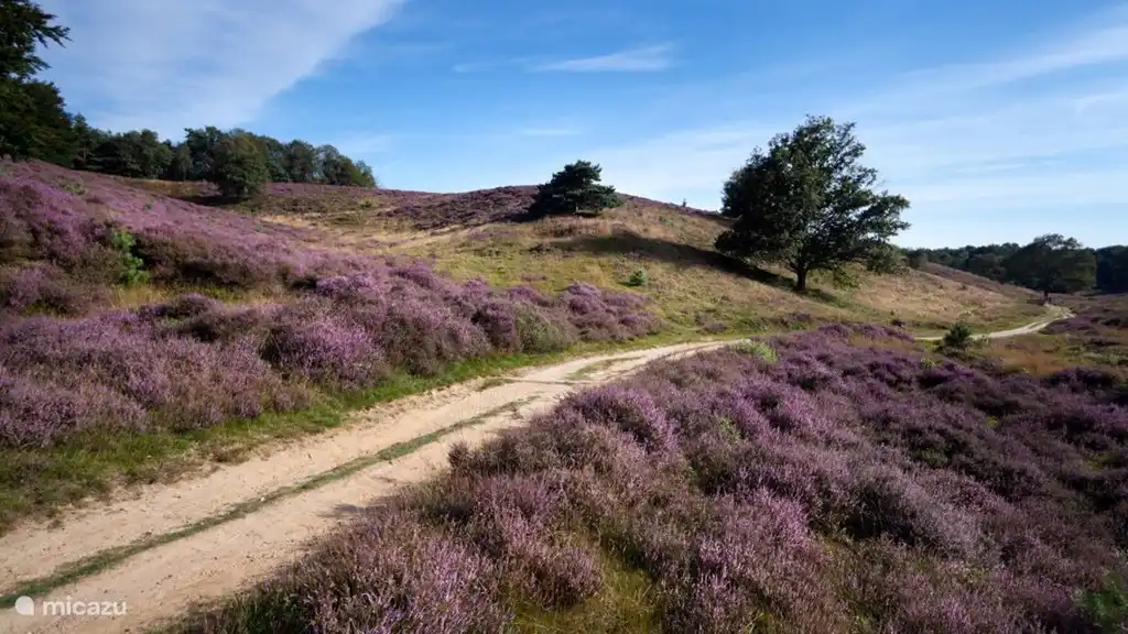 Wander- und Fahrradgebiet NP de Maasduinen