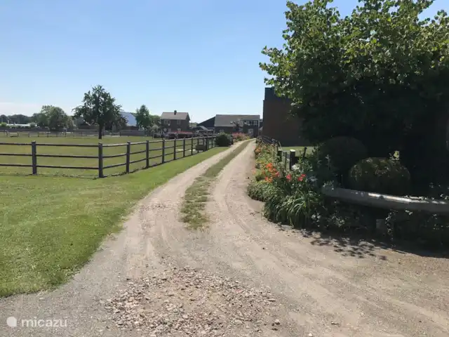El Looische Hoeve en Países Bajos, Limburgo, Wellerlooi - casa de campo el camino de entrada a nuestra granja de vacaciones
