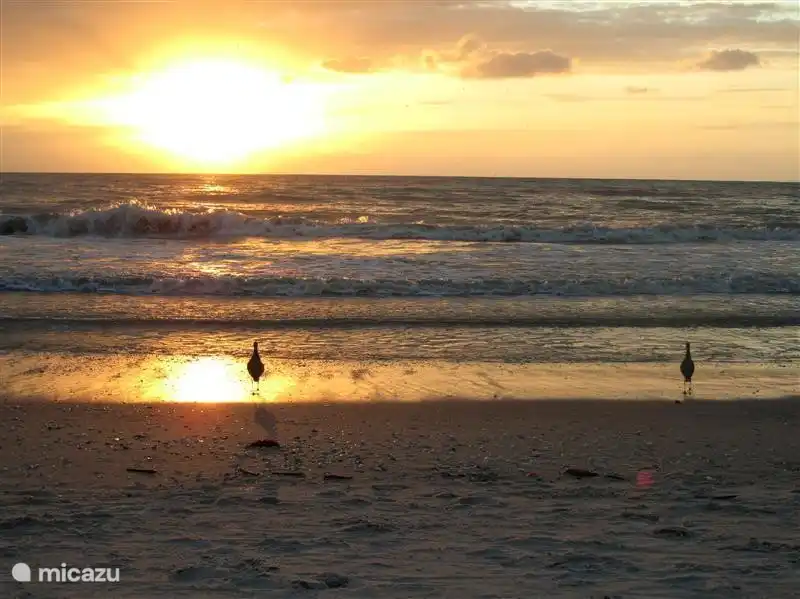 Sonnenuntergang an der Westküste