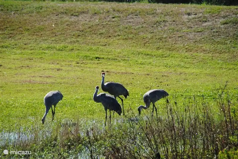 Blick von der Sonnenterrasse