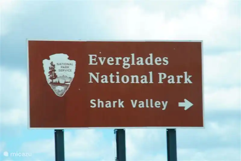 Everglades