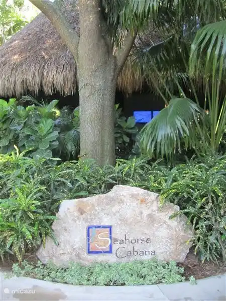 Discovery Cove