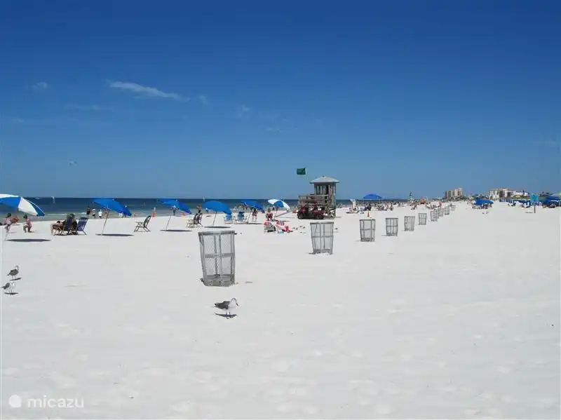 Es gibt viele schöne Strände in Florida.