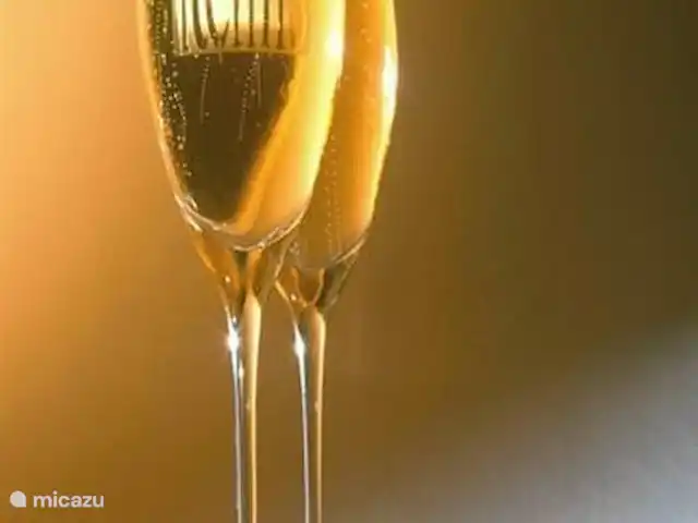 Relajado 40+ en Países Bajos, Güeldres, Ermelo - casa vacacional Oh sí, casi lo olvido. El champán está frío porque nos gusta mimarte aún más. Tiene la seguridad de una estancia TOP *****