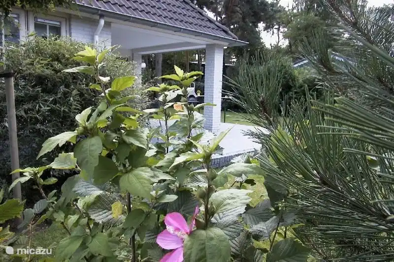 Garden aus dem Dual Parkplatz ..