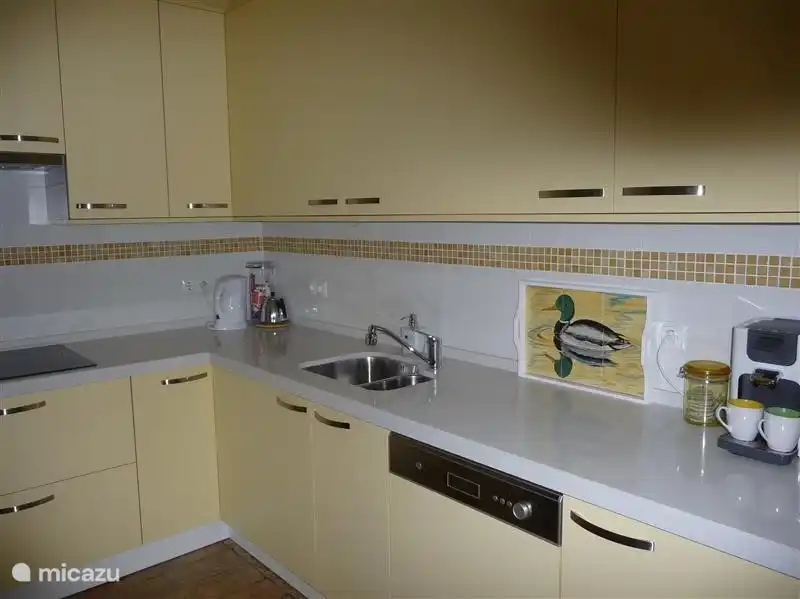 neue Küche mit allen modernen Geräten.