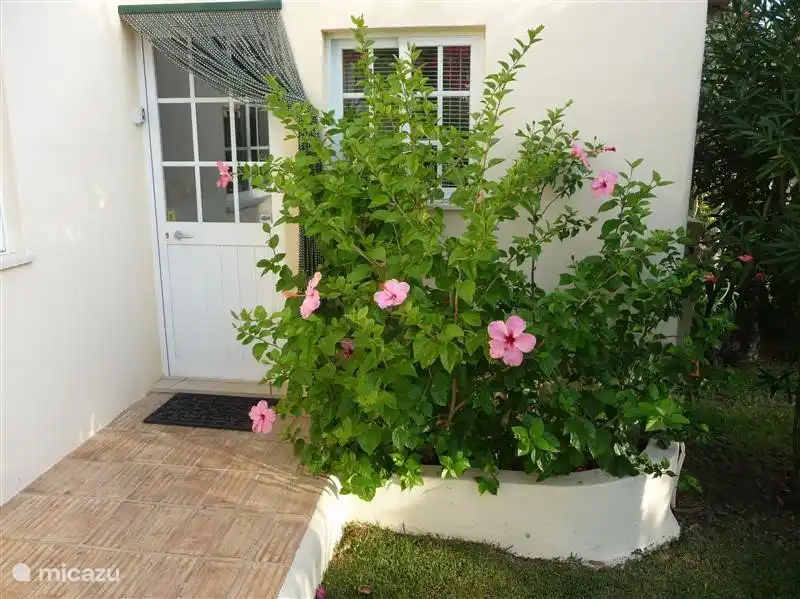 Eingang auf der linken Seite der Tür der Schlüssel sicher. In den Papierkorb schönen blühenden Hibiskus.