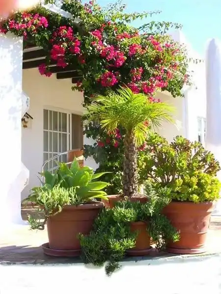 Die Vorderseite der Villa ist umgeben von der üppigen blühenden Bougainvillea und der gemütlichen großen Töpfen belebt
