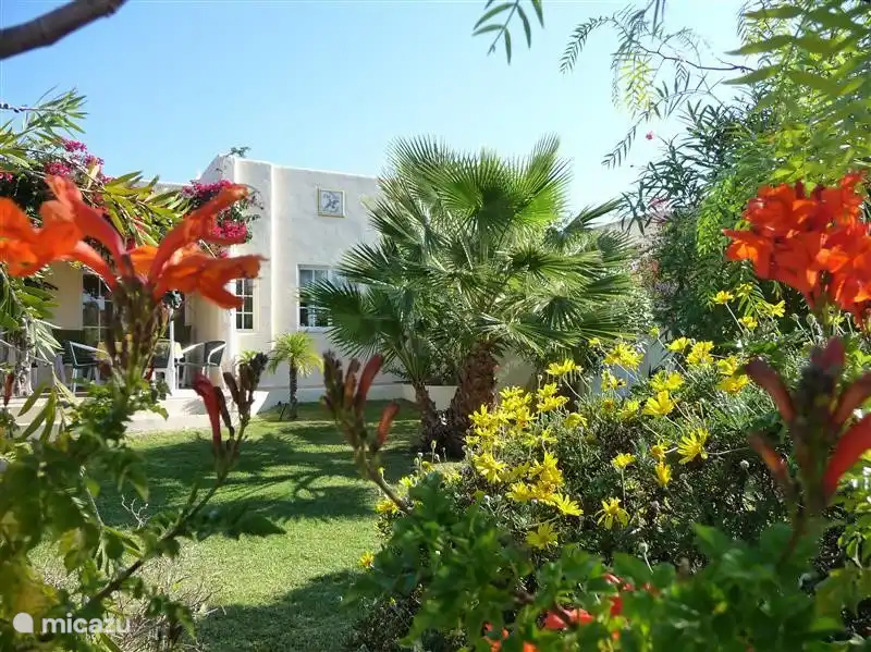 Ein wunderbarer Blick zwischen allen blühenden Büschen.