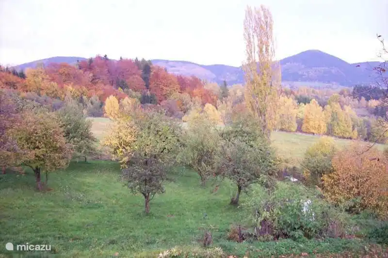 ver el dormitorio de arriba