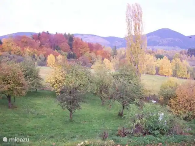 vakantiehuis huren in Tsjechië, Hradec Králové, Lampertice – Vakantiehuis DAVRI Uitzicht slaapkamer boven