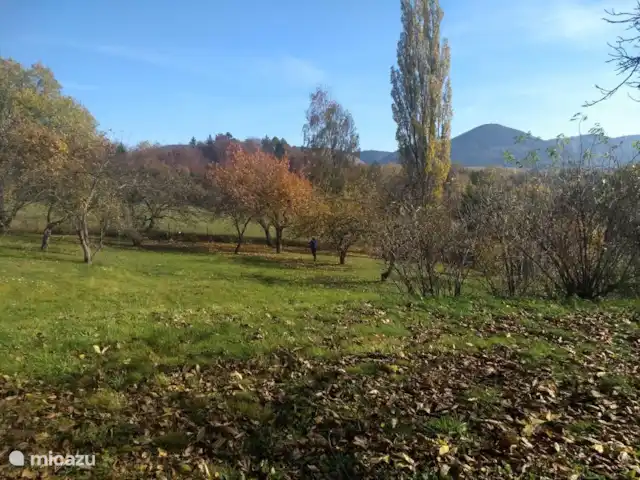 vakantiehuis huren in Tsjechië, Hradec Králové, Lampertice – Vakantiehuis DAVRI Gelegen in een fruitboomgaard