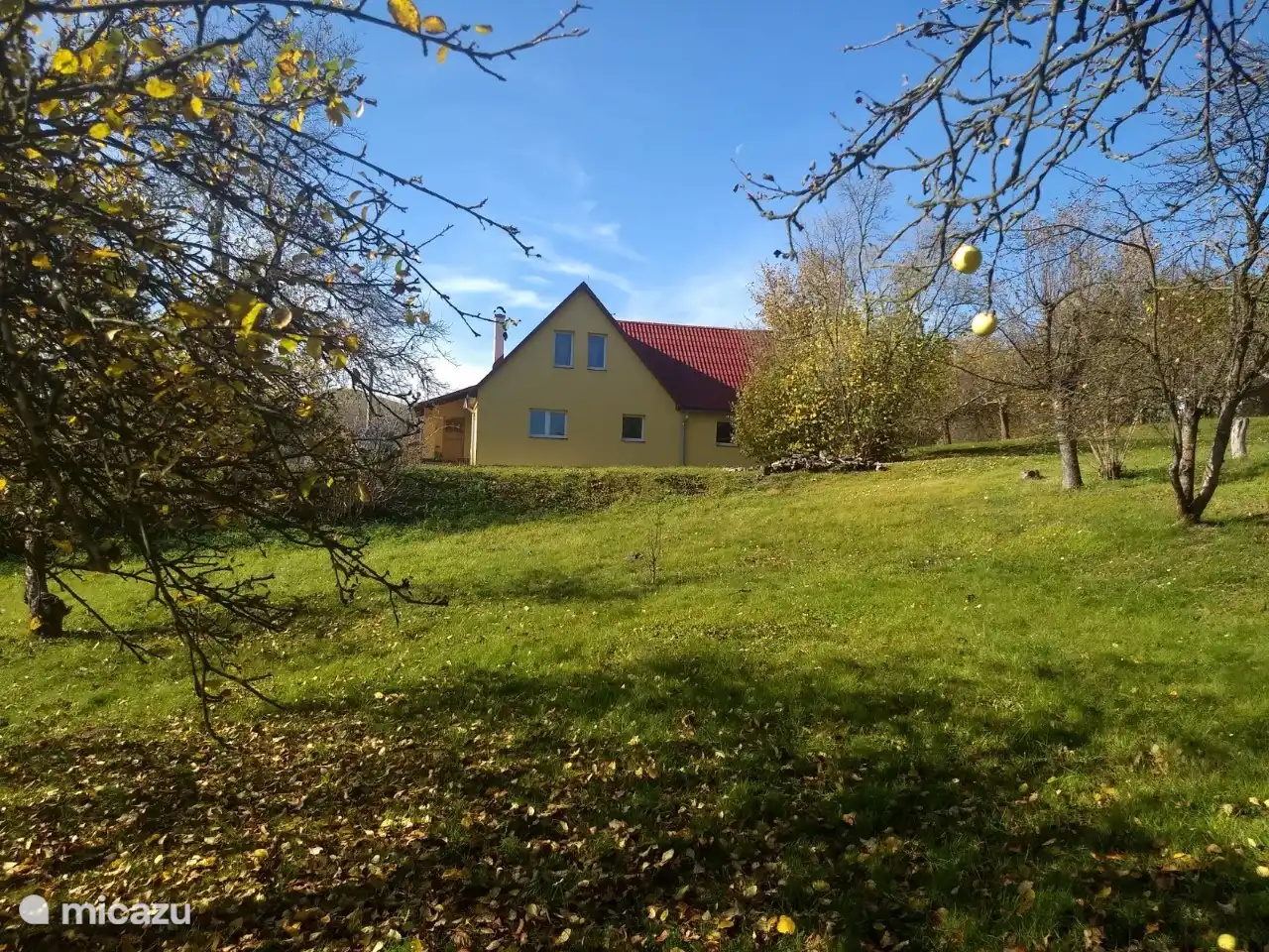 Manzanas en septiembre/octubre