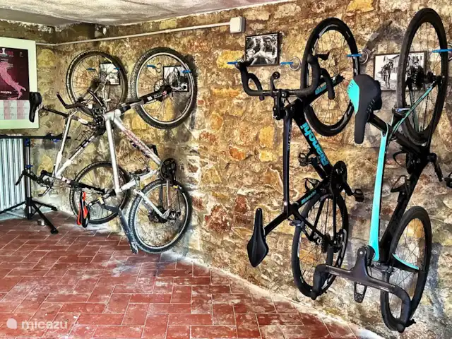 Cas'al Verde huren in Italië, Toscane, Castellina In Chianti - villa Fietsgarage met allerlei faciliteiten.