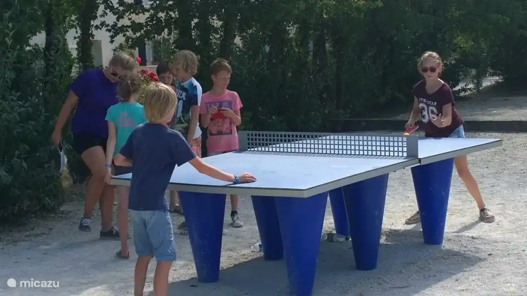 Gezellig tafeltennissen.