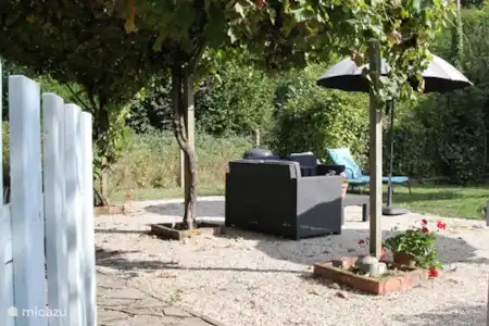 Jardin et piscine