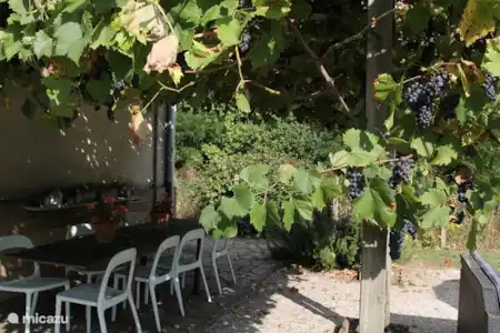 Jardin et piscine
