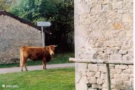 Randonnée en Haute Vienne