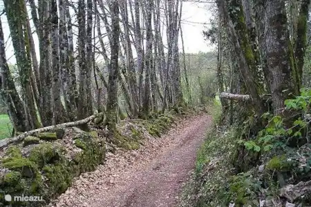 Randonnée en Haute Vienne