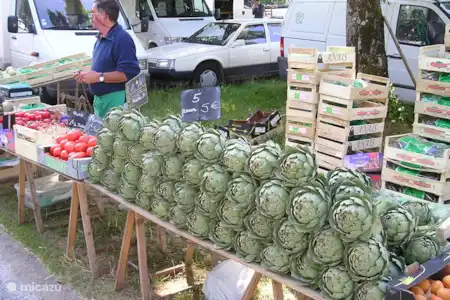 Activités