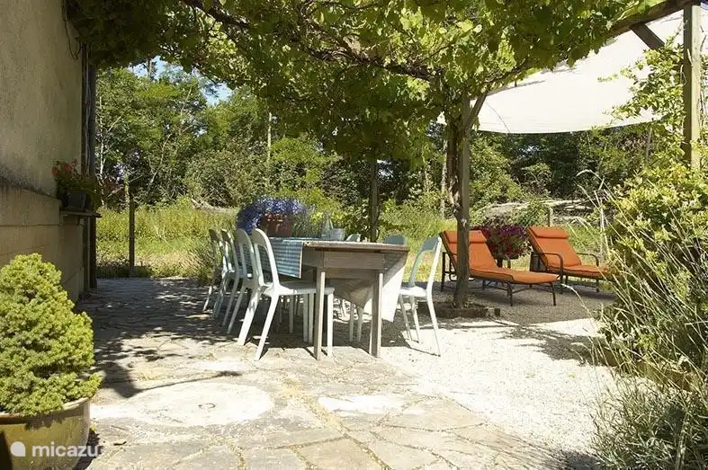 Terrasse mit Traube. Köstliche natürliche Kühlung an einem heißen Sommertag