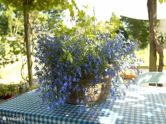 Gareine Blonde Berneuil | France, Haute-Vienne, Blond - maison de vacances Vœux d’été
