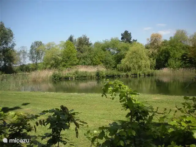 Igloo Safari | Pays-Bas, Brabant-Septentrional, Chaam - bungalow étang de pêche et en tant qu'invité, vous pêchez bien sûr gratuitement.
