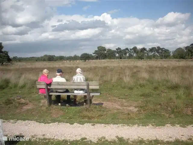 Igloo Safari | Pays-Bas, Brabant-Septentrional, Chaam - bungalow vue sur un vaste paysage