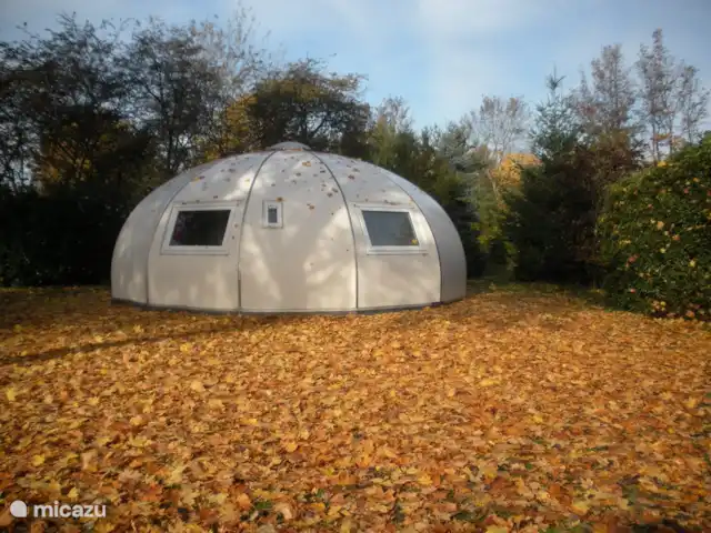 Igloo Safari | Pays-Bas, Brabant-Septentrional, Chaam - bungalow Safari Igloo dans une ambiance automnale
